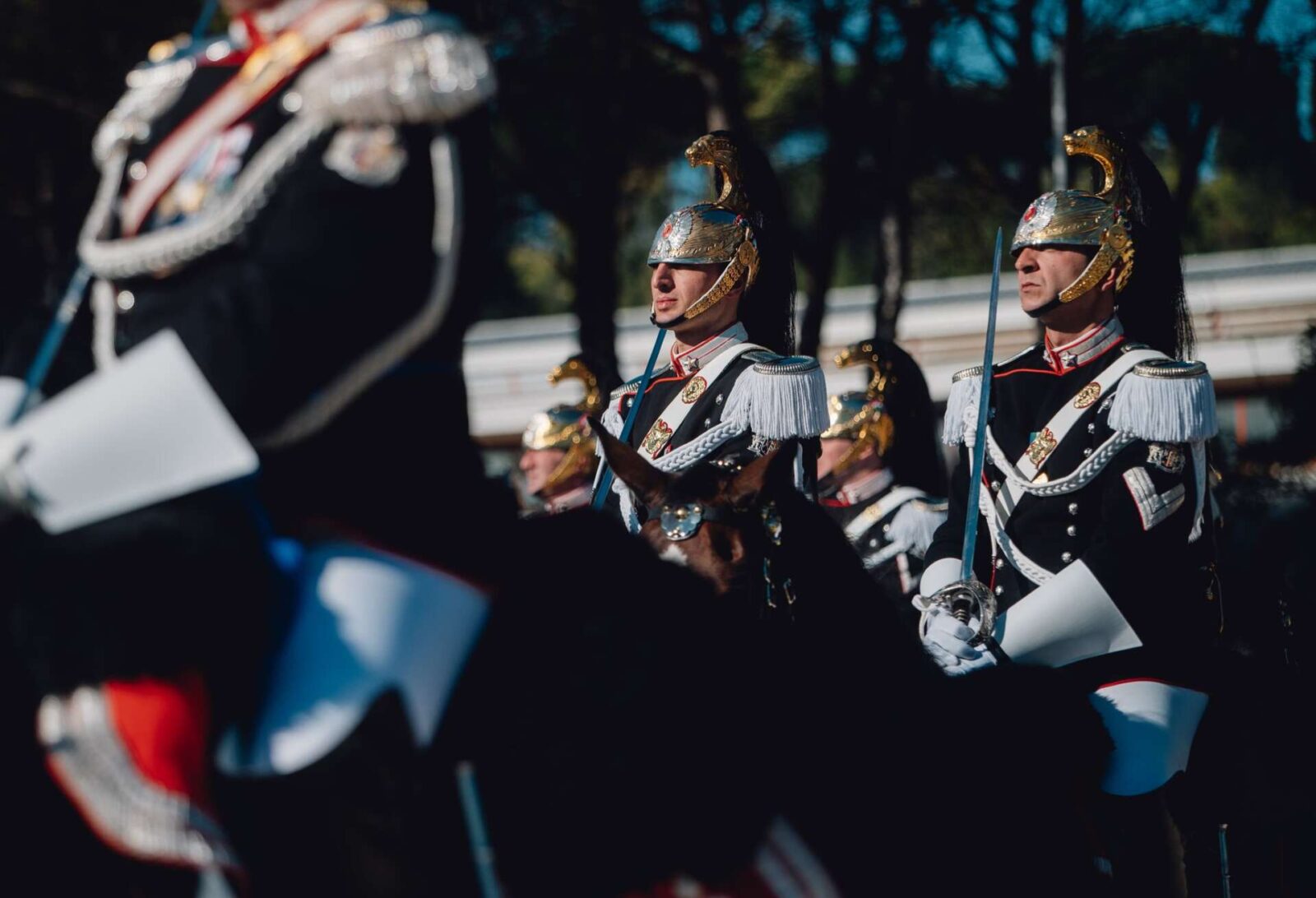 carabinieri finisce lera del manager e inizia quella del politico 2 Difesa Magazine